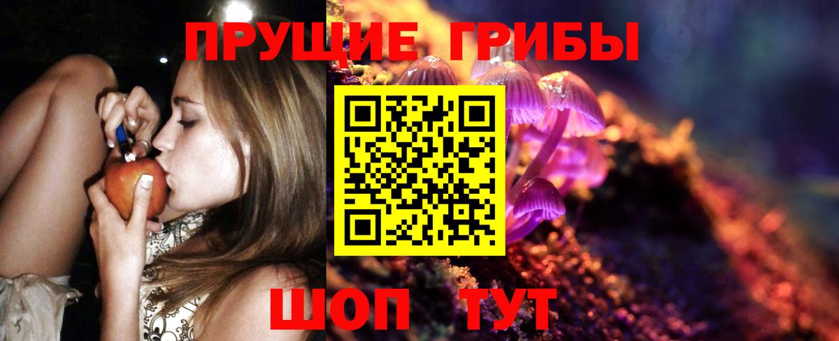 Галлюциногенные грибы GOLDEN TEACHER  Вход с VPN  Псилоцибиновые грибы Psilocybine cubensis  Малгобек 